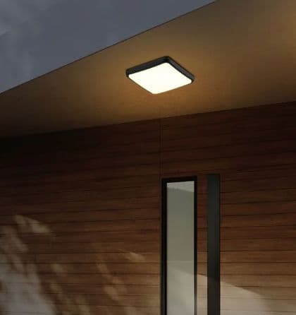 Andromeda Wall Light - View 3